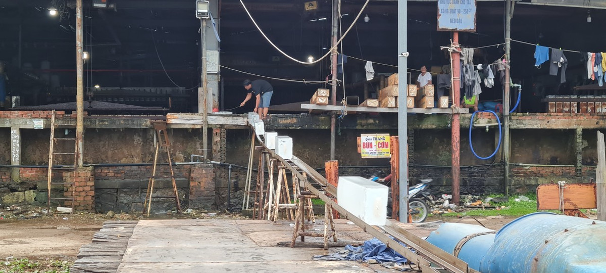 Băng chuyền vận chuyển đá lạnh từ nhà máy ra tàu.