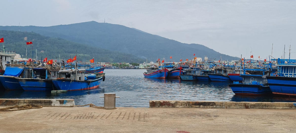 Nằm trên địa bàn quận Sơn Trà, thành phố Đà Nẵng, Thọ Quang vừa là nơi neo trú tàu thuyền vừa là cảng cá lớn nhất miền Trung.