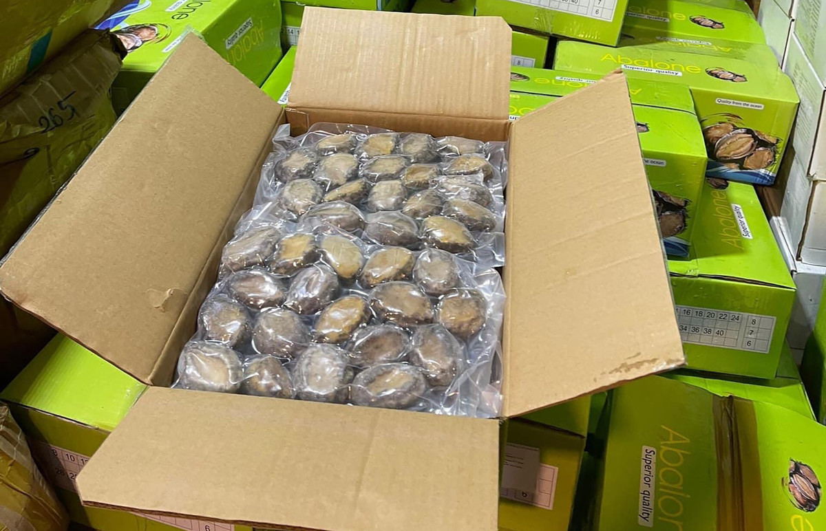 Bào ngư giá siêu rẻ bán tran lan trên "chợ mạng" Bao ngu gia sieu re ban tran lan tren