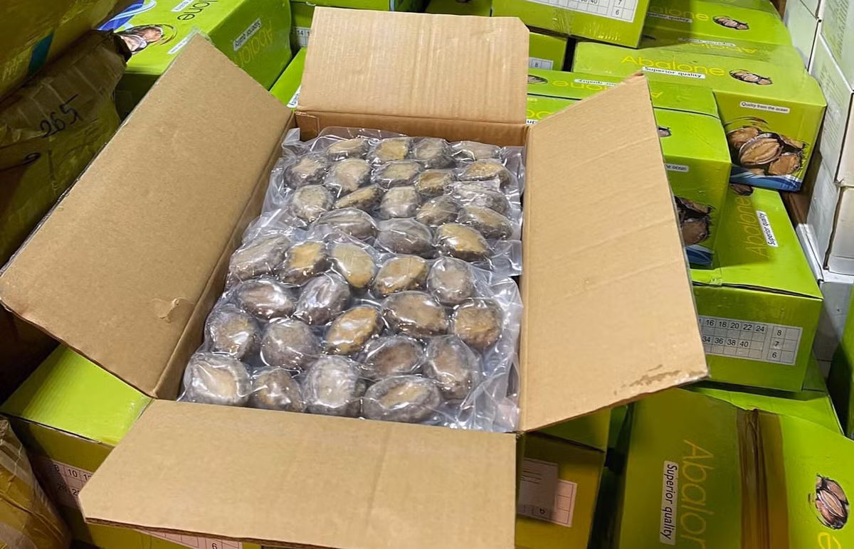 Bao ngu gia sieu re ban tran lan tren 