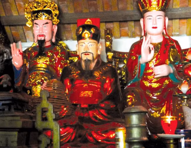 Vi vua giu ky luc co nhieu con ruot lam vua nhat Viet Nam