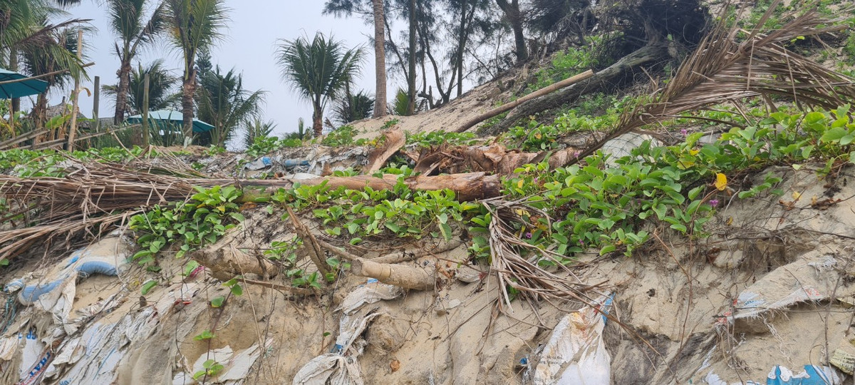 Những hàng dừa xanh tốt bị sóng biển "xóa sổ".