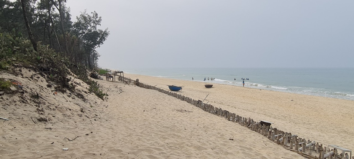 Hàng kè bằng cọc tre chạy dọc theo bãi cát trắng mịn, gây ngỡ ngàng cho những du khách lần đầu tiên đến đây.