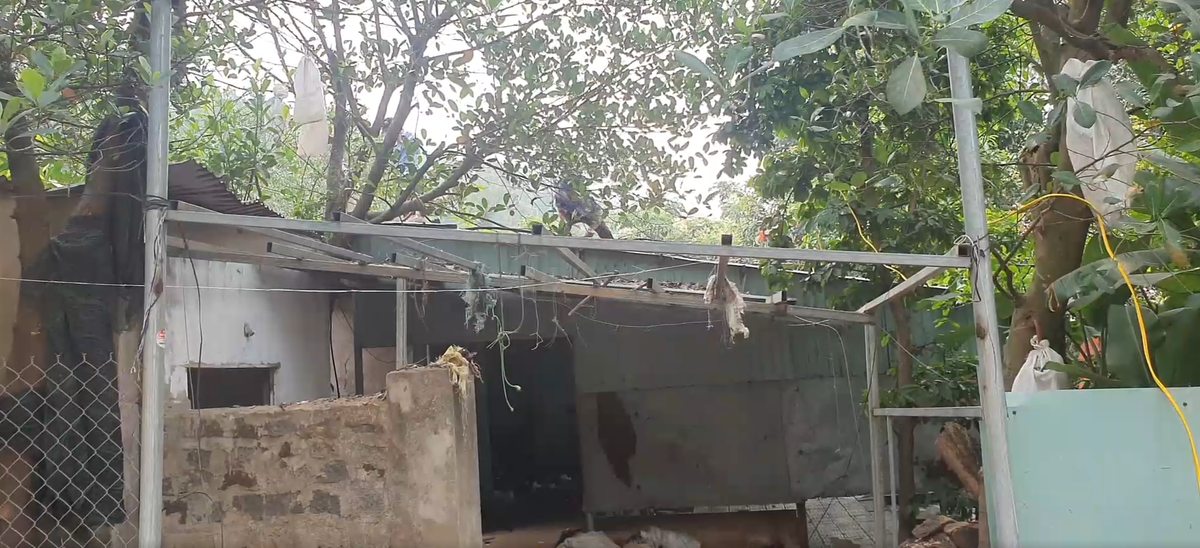 Đại diện Lãnh đạo quận Sơn Trà cho biết, về phương án cưỡng chế tháo dỡ, UBND quận đảm bảo việc thực hiện quyết định thu hồi đất và quyết định cưỡng chế thu hồi đất theo đúng quy định của pháp luật.