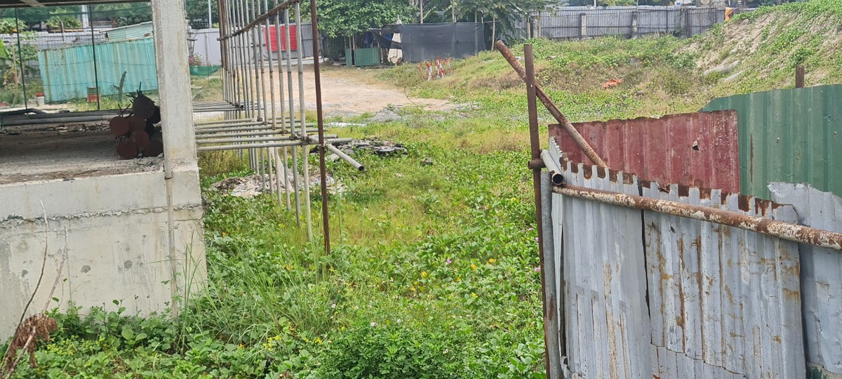Cỏ dại bò qua lớp rào tôn tạm bợ, tiến vào sát chân công trình.