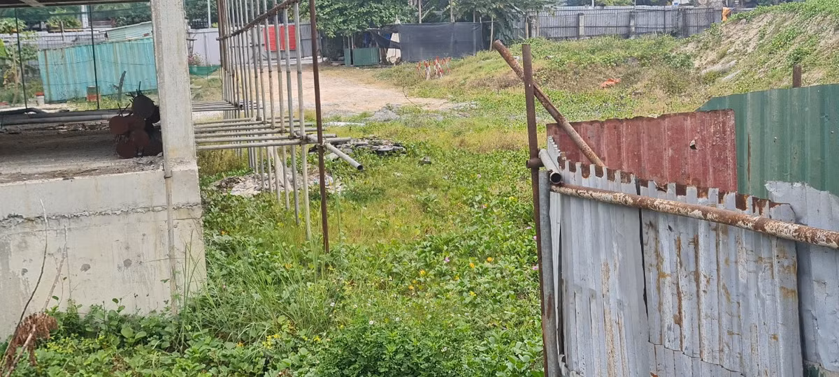 Cỏ dại bò qua lớp rào tôn tạm bợ, tiến vào sát chân công trình.