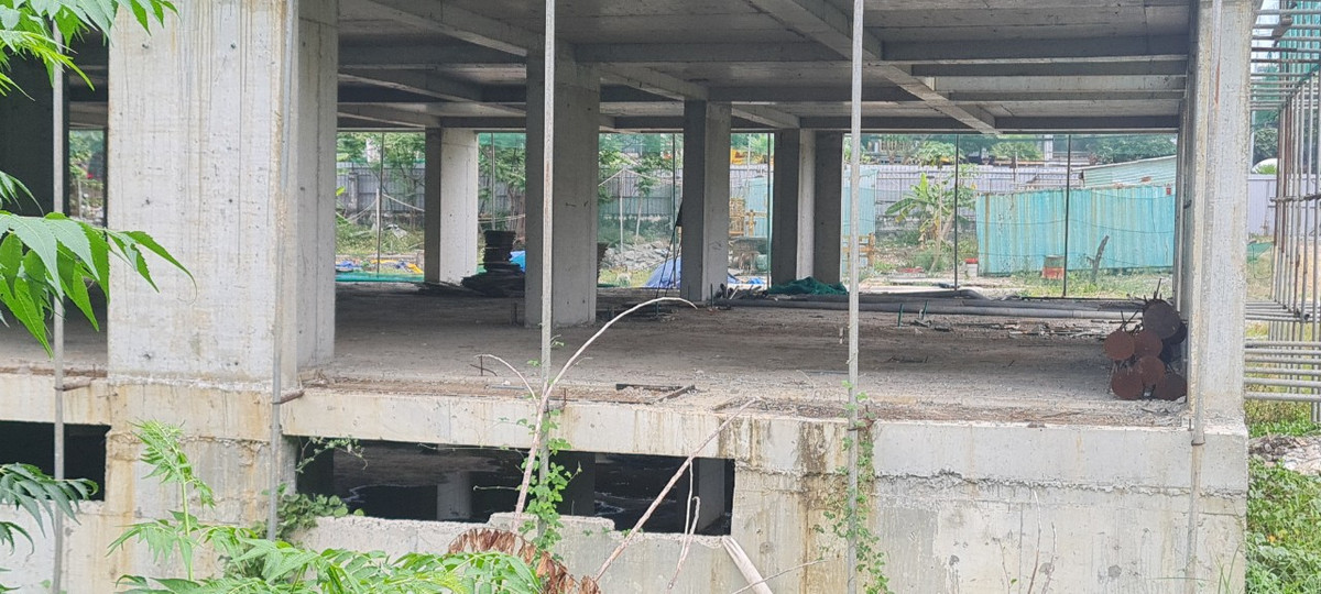 Vắng người, cỏ dại đã bắt đầu leo lên "bên trên tầng lầu".