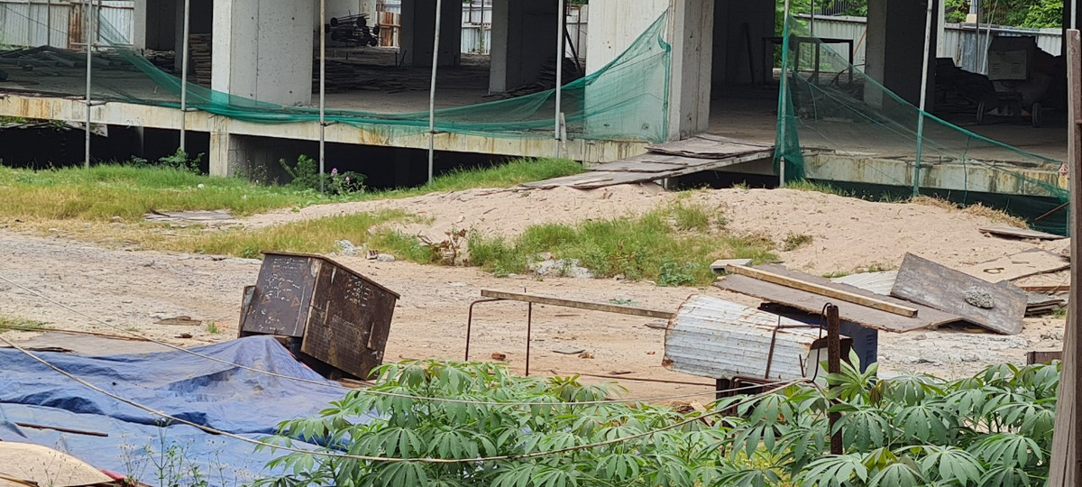 Bên dưới là rác thải xây dựng lẫn trong đám cỏ dại.