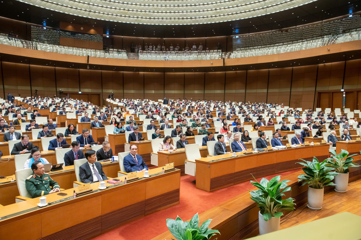 Sau sap xep, se kiem tra chuyen nganh thay vi thanh tra