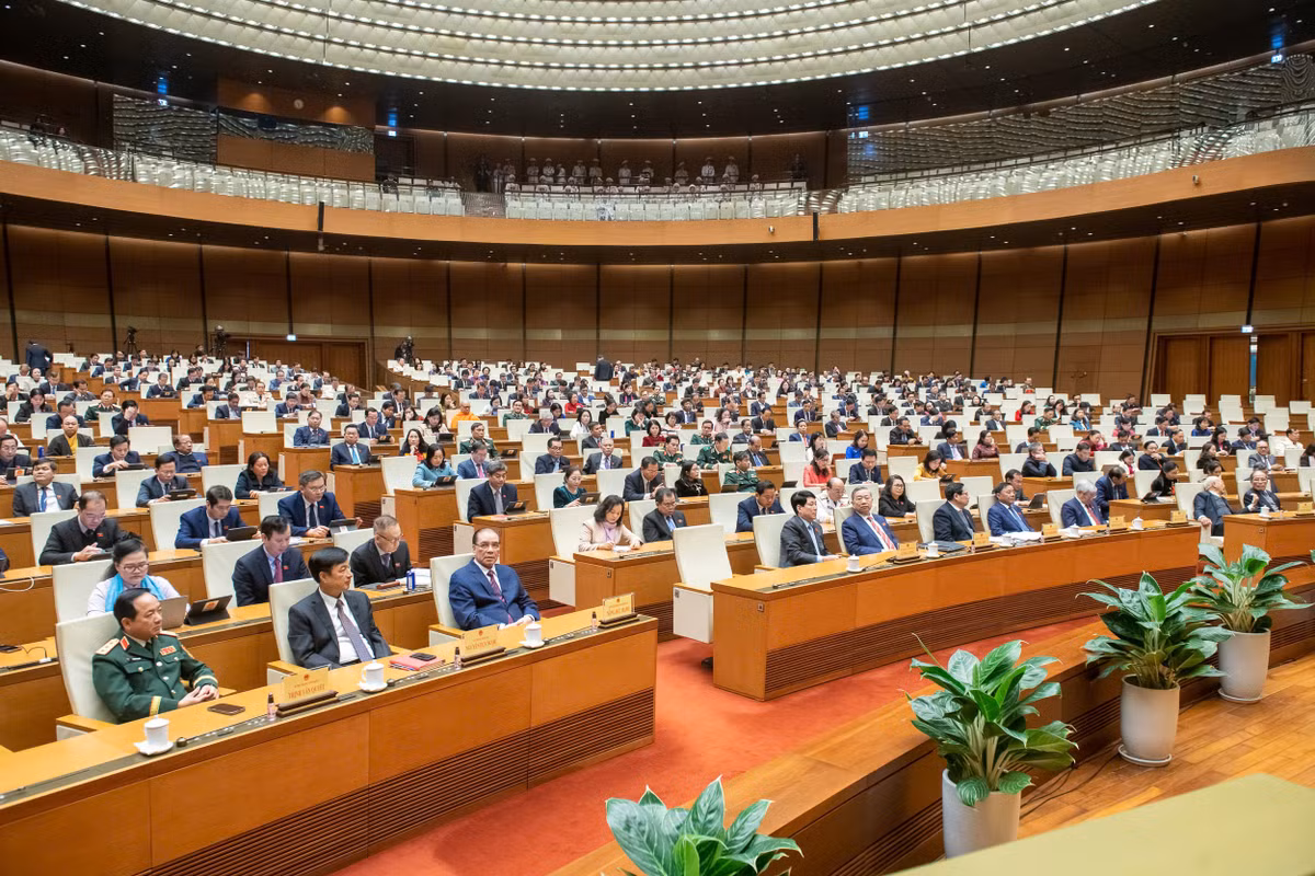 Sau sap xep, se kiem tra chuyen nganh thay vi thanh tra