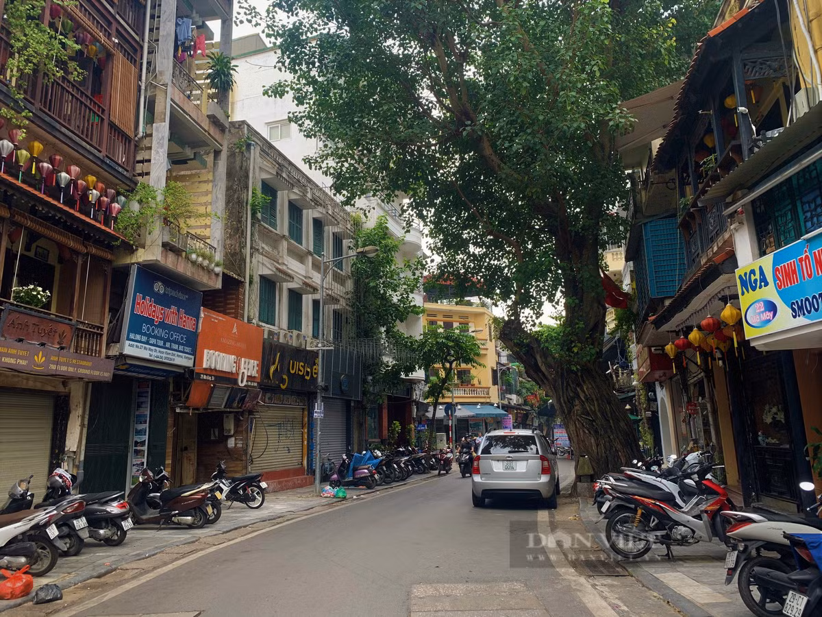  Con phố có nhiều nhà nhất phố cổ: Nhắc đến Mã Mây, có lẽ ấn tượng với mọi người nhất chính là những ngôi nhà cổ xen lẫn với những nhà hàng, khách sạn tạo nên một khung cảnh đặc biệt. Tuyến phố chỉ dài 300m mà lại có nhiều nhà cổ nhất Hà Nội. Những ngôi nhà ở đây thường làm theo dạng nhà ống, mặt tiền hẹp nhưng dài, có giếng trời đón gió ở giữa. Nếu toàn khu phố cổ Hà Nội còn khoảng 1.000 nhà cổ thì riêng phố Mã Mây đã chiếm 1/10 trong số đó. (Ảnh Dân Việt)