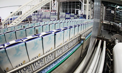 Trang trai bo sua Viet Nam dat ky luc Chau A