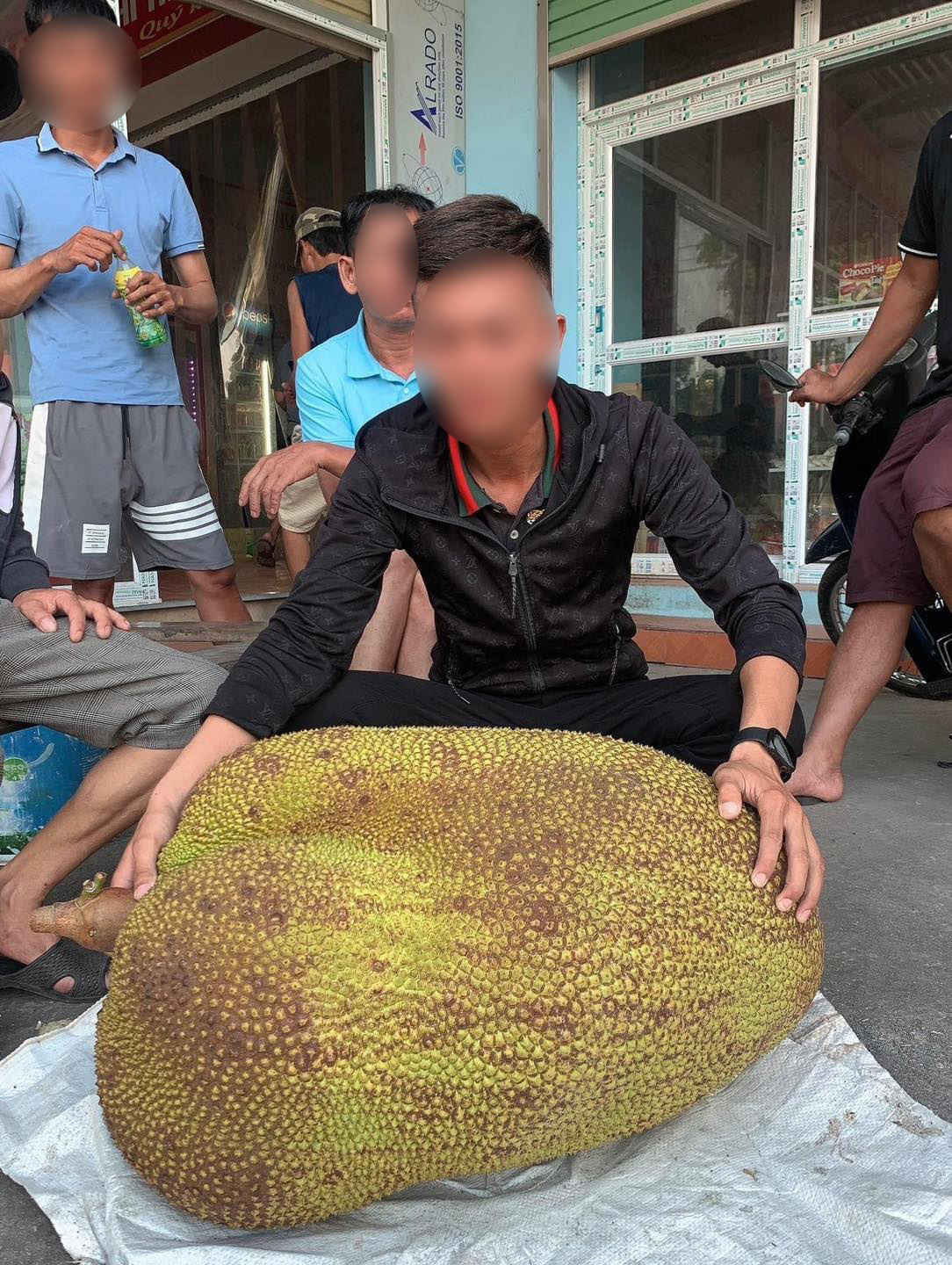 Nhiều người không giấu được sự ngạc nhiên trước kích thước, cân nặng khổng lồ của trái mít ở Lạng Sơn này, cũng có người nghi ngờ về độ thực hư của hình ảnh được chia sẻ.