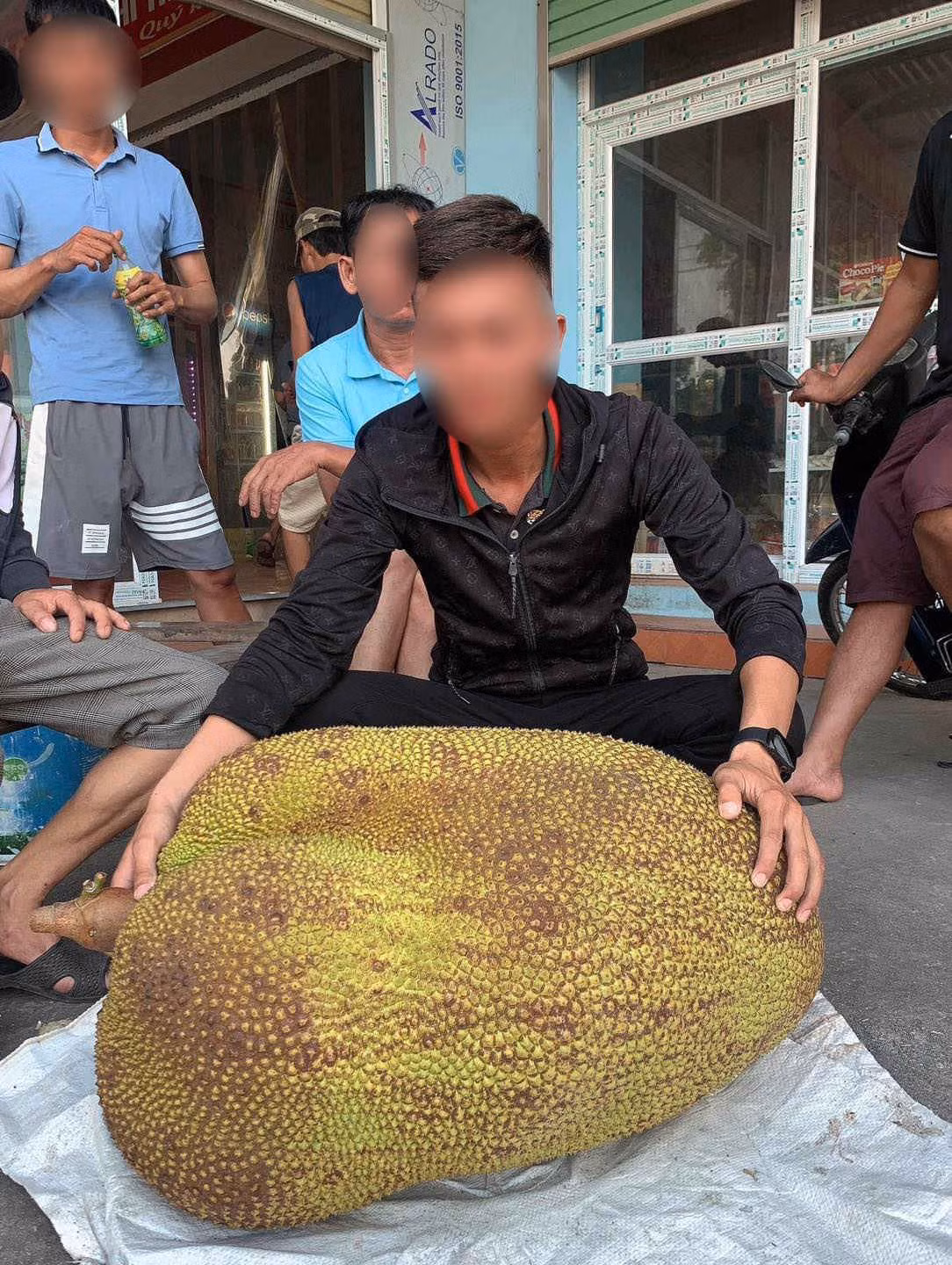 Nhiều người không giấu được sự ngạc nhiên trước kích thước, cân nặng khổng lồ của trái mít ở Lạng Sơn này, cũng có người nghi ngờ về độ thực hư của hình ảnh được chia sẻ.