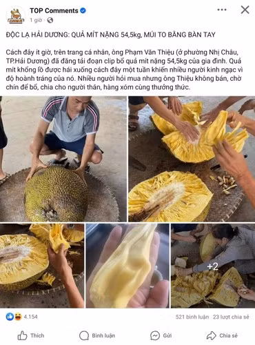 Trước đó, Loạt ảnh, video về quả mít “khủng” nặng gần 55kg ở Hải Dương được dân mạng chia sẻ rộng rãi những ngày gần đây.