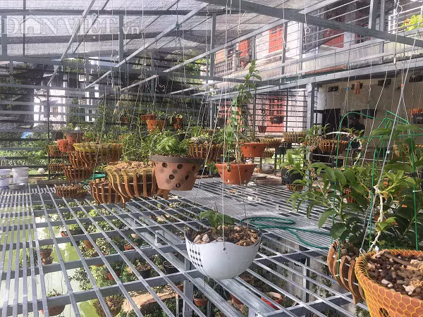 Bi lua mua lan phi diep dot bien 2,6 ty, ca nha bat an lai mang tieng xau