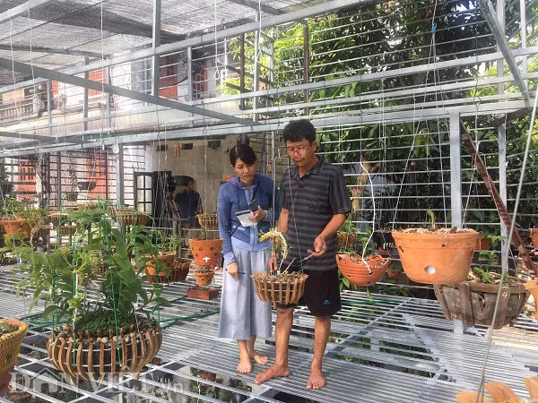 Bi lua mua lan phi diep dot bien 2,6 ty, ca nha bat an lai mang tieng xau-Hinh-3