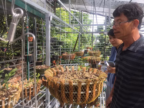 Bi lua mua lan phi diep dot bien 2,6 ty, ca nha bat an lai mang tieng xau-Hinh-2