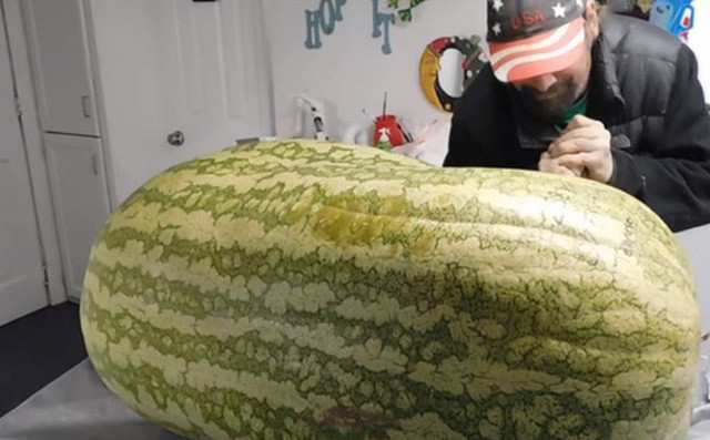 Trong tất cả các thể loại quả, dưa hấu có lẽ là "lừa tình" con người nhiều nhất. Có quá nhiều kinh nghiệm để chọn dưa ngon nhưng đảm bảo mua 1 quả về, xẻ ra bên trong có ngon hay không còn do nhiều yếu tố.