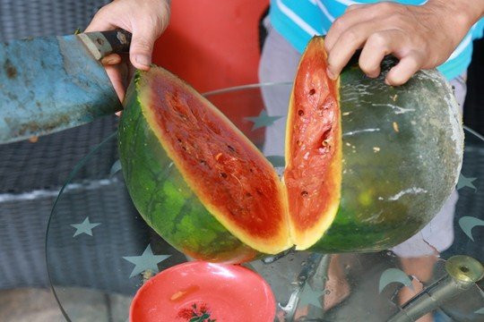 Trước đó trên MXH, hai cô gái người Việt từng có màn bổ dưa hơn chục ký và cho ra kết quả đáng tiếc, phần ruột dưa chín đỏ nhưng bị rỗng khá nhiều chỗ.