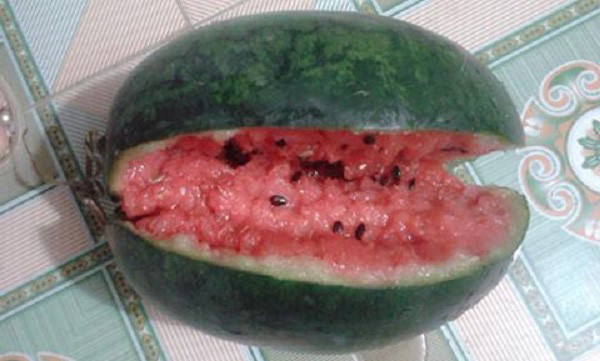 Còn lần khác khi mua dưa hấu về một dân mạng gặp phải hoàn cảnh bên trong nhìn nhão nhoét trông rợn người.