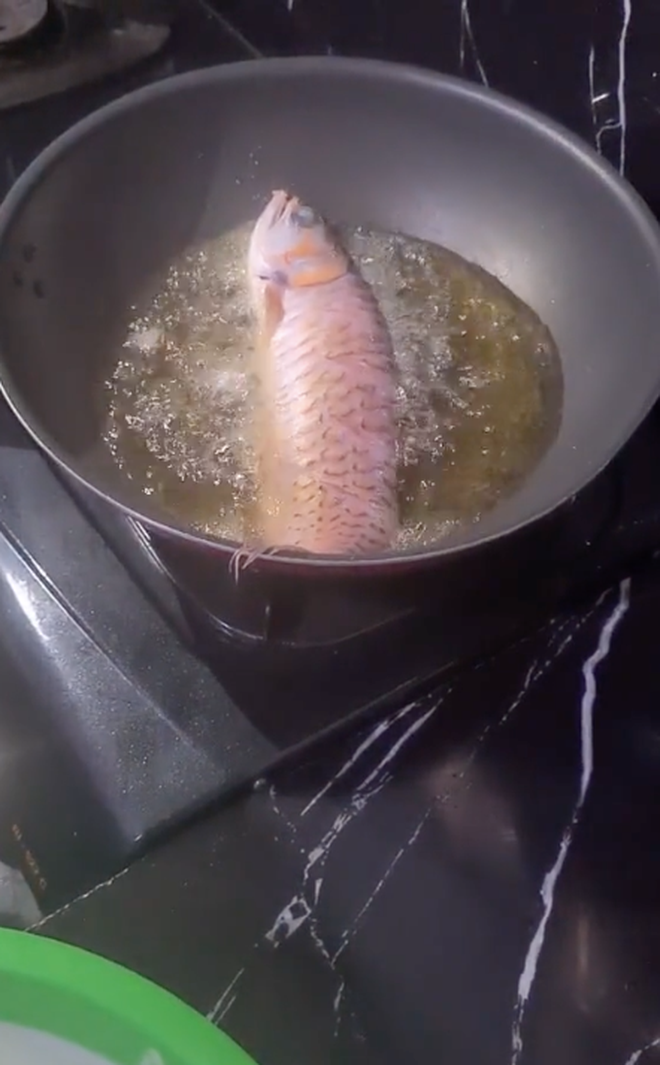 Mới đây trên mạng, các netizen xôn xao trước thông tin một người phụ nữ đem con cá cảnh thuộc nhóm quý hiếm của chồng đưa đi chiên vàng làm bữa ăn chỉ vì anh ta lười biếng, không chịu giữ lời hứa dọn dẹp bể nuôi.