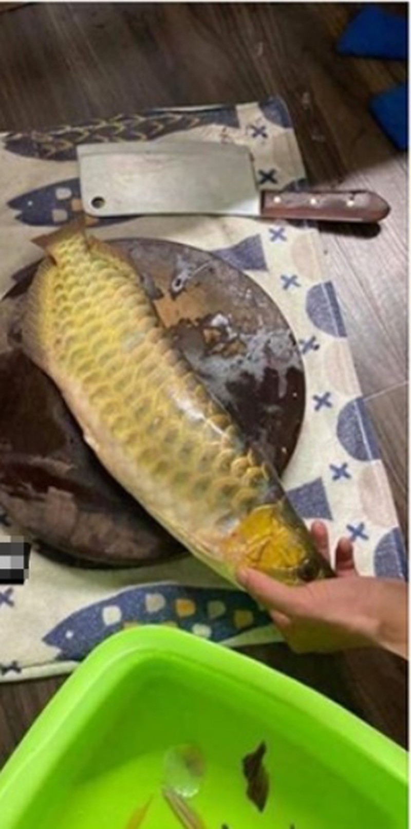 Trong đoạn video, người phụ nữ ấm ức nói: “Khi tôi nhắc nhở, chồng lúc nào cũng hứa sẽ vệ sinh bể nuôi. Tôi nghĩ rằng, món cá chiên này sẽ rất ngon.”