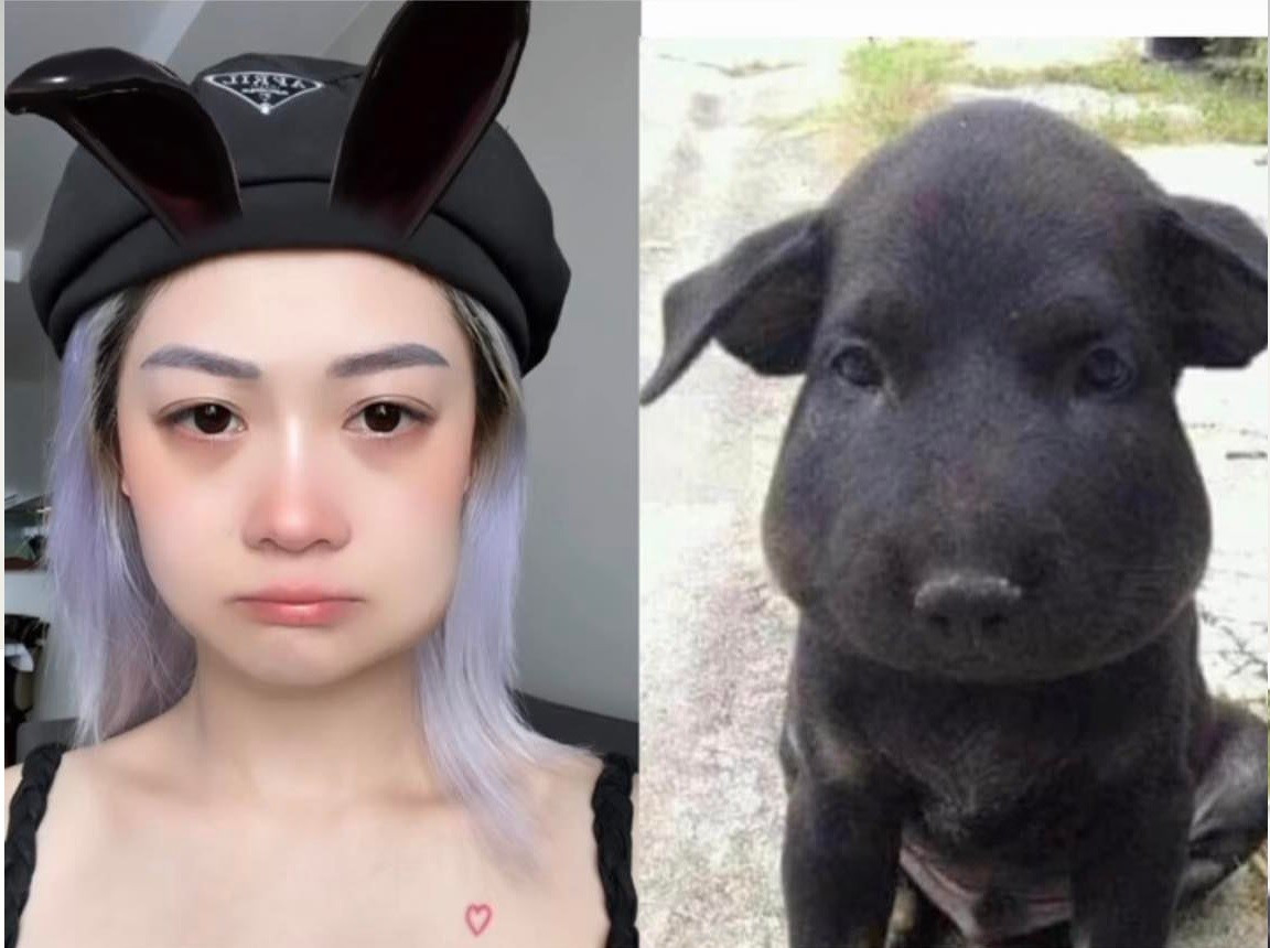 Mới đây, Hảo Thỏ cho mọi người thấy một vẻ ngoài mới lạ đầy bất ngờ khiến fan vừa thương vừa xót.