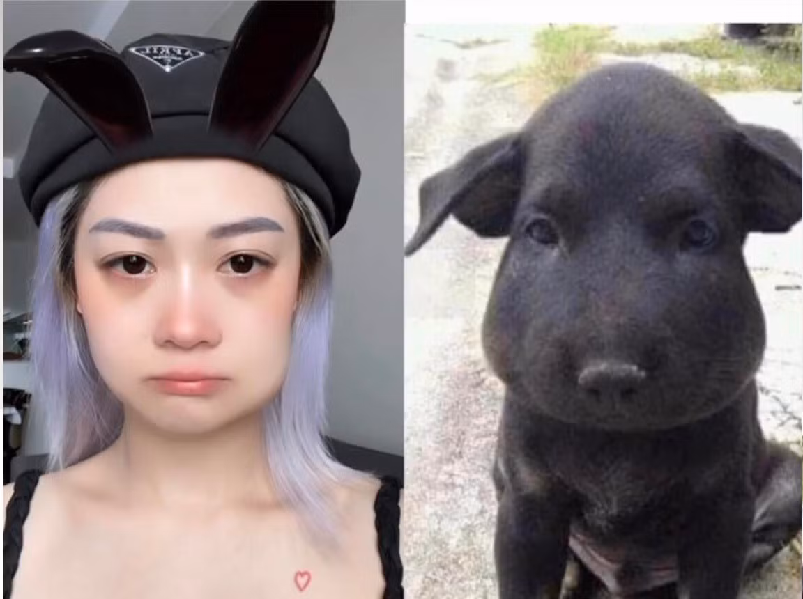 Mới đây, Hảo Thỏ cho mọi người thấy một vẻ ngoài mới lạ đầy bất ngờ khiến fan vừa thương vừa xót.