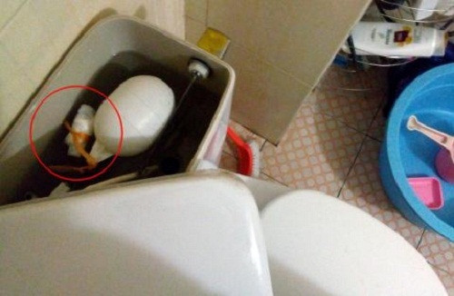 Chỉ cần một túi zip chống nước, các anh chồng có thể biến chỗ đựng nước xả bồn cầu thành một "két sắt" an toàn. Ngoài ra chỉ cần 1 đoạn băng dính cũng sẽ khiến nóc bình nóng lạnh thành "đồng minh".