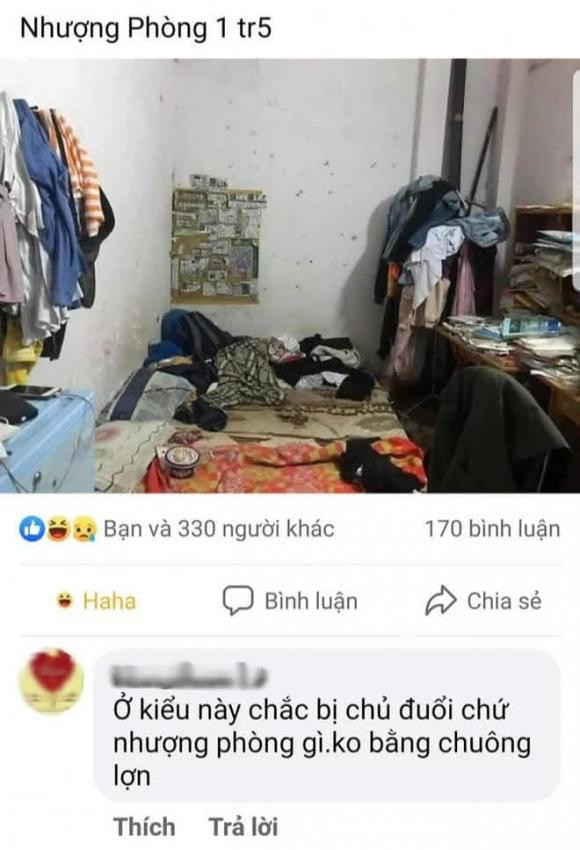 Thậm chí, có cư dân mạng còn thẳng thừng nhận xét: "Ở kiểu này chắc bị chủ nhà trọ đuổi chứ nhượng phòng gì, không bằng chuồng lợn".