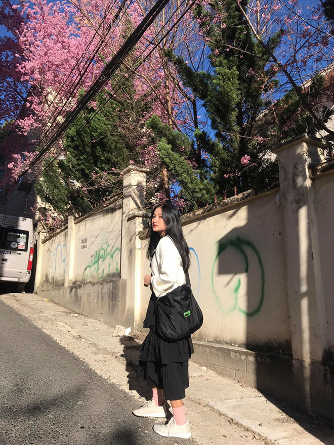 Mỹ Phượng chia sẻ, trước khi thi đại học, cô từng có ước mơ trở thành nhà báo, tuy nhiên sau quá trình tìm hiểu, cô bạn nhận thấy khối kỹ thuật có ngành Kỹ thuật nhiệt khá phù hợp với bản thân nên đã đăng ký ngay.