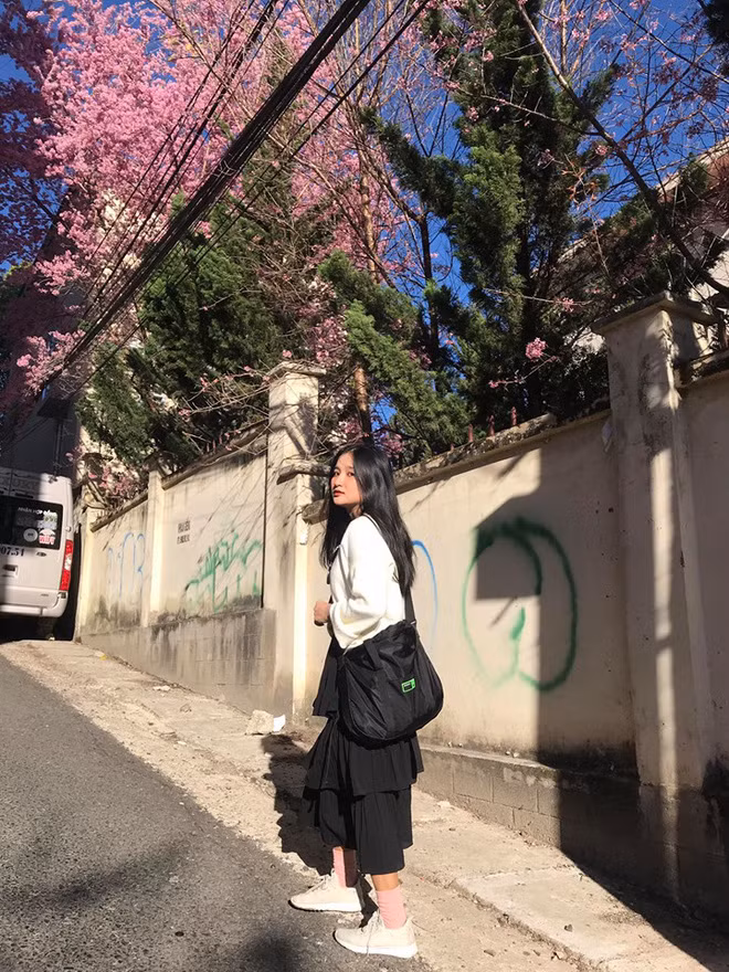 Mỹ Phượng chia sẻ, trước khi thi đại học, cô từng có ước mơ trở thành nhà báo, tuy nhiên sau quá trình tìm hiểu, cô bạn nhận thấy khối kỹ thuật có ngành Kỹ thuật nhiệt khá phù hợp với bản thân nên đã đăng ký ngay.