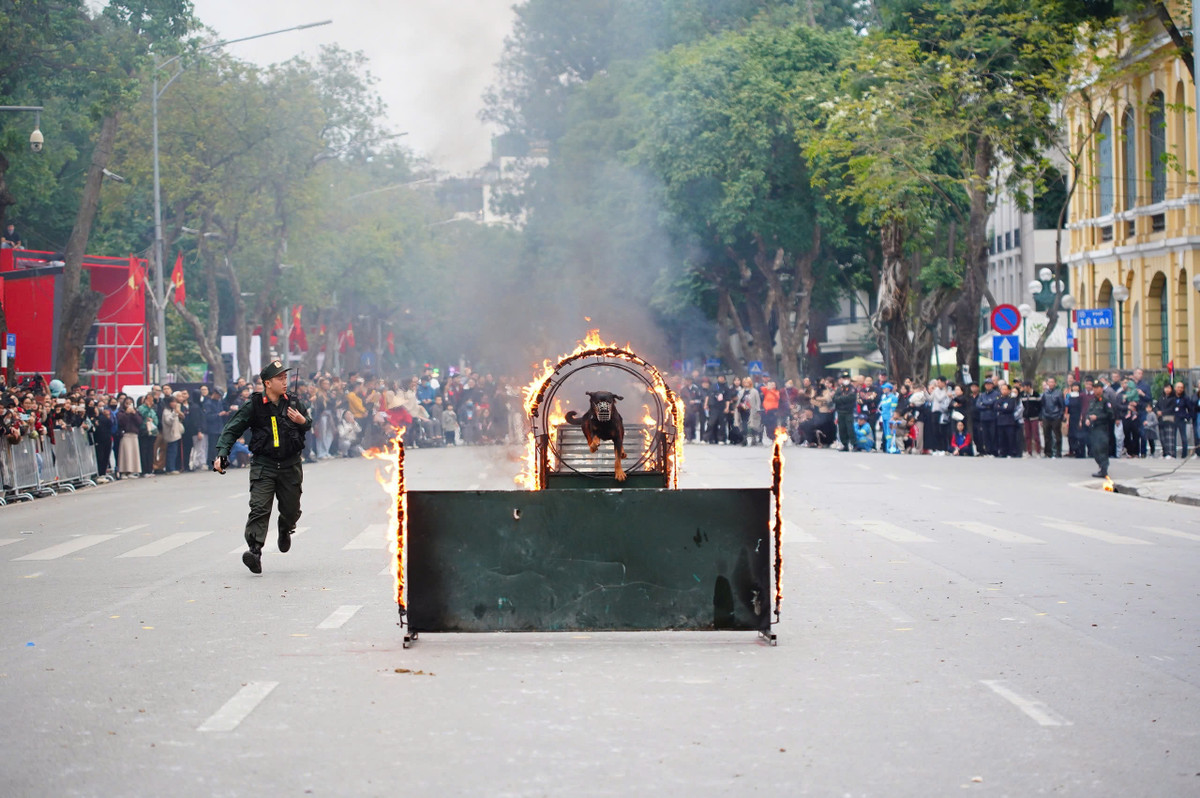 Chương trình có quy mô hoành tráng, sẽ có sự góp mặt của nhiều nghệ sĩ được yêu thích hiện nay như Mỹ Tâm, Noo Phước Thịnh, Tùng Dương, Soobin Hoàng Sơn, Nguyễn Trần Trung Quân, Văn Mai Hương, Dương Hoàng Yến.