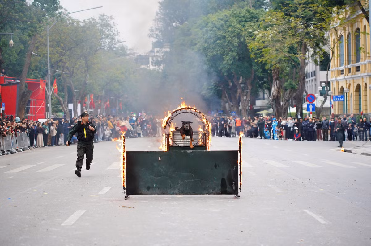 Chương trình có quy mô hoành tráng, sẽ có sự góp mặt của nhiều nghệ sĩ được yêu thích hiện nay như Mỹ Tâm, Noo Phước Thịnh, Tùng Dương, Soobin Hoàng Sơn, Nguyễn Trần Trung Quân, Văn Mai Hương, Dương Hoàng Yến.