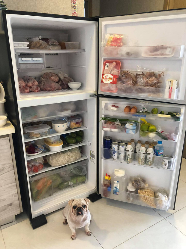 Yến Nhi hiện đã ở Thuận Kiều Plaza tính đến nay là ngày thứ 6 rồi, sắp được lấy mẫu xét nghiệm lại. Nếu có tiến triển tốt, tầm 5 ngày nữa cô sẽ được về.