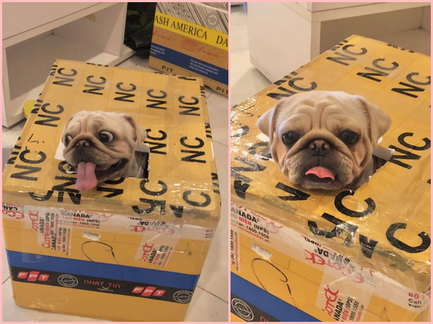 Ở thời điểm hiện tại, Yến Nhi cho biết tình hình sức khoẻ đã tốt hơn, bây giờ chỉ có nhớ nhà và nhớ pet của mình.