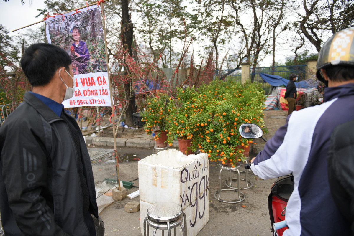 Cũng theo anh Quyền, năm nay tiền bãi thuê, chậu cây đắt, nên việc xả hàng cũng chỉ thu lại tiền chậu và tiền mặt bằng.