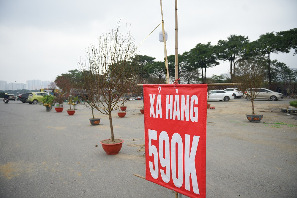 Cũng trên tuyến đường Lê Quang Đạo không thiếu những gian hàng bán quất, đào phải đặt biển xả hàng với giá không tưởng.