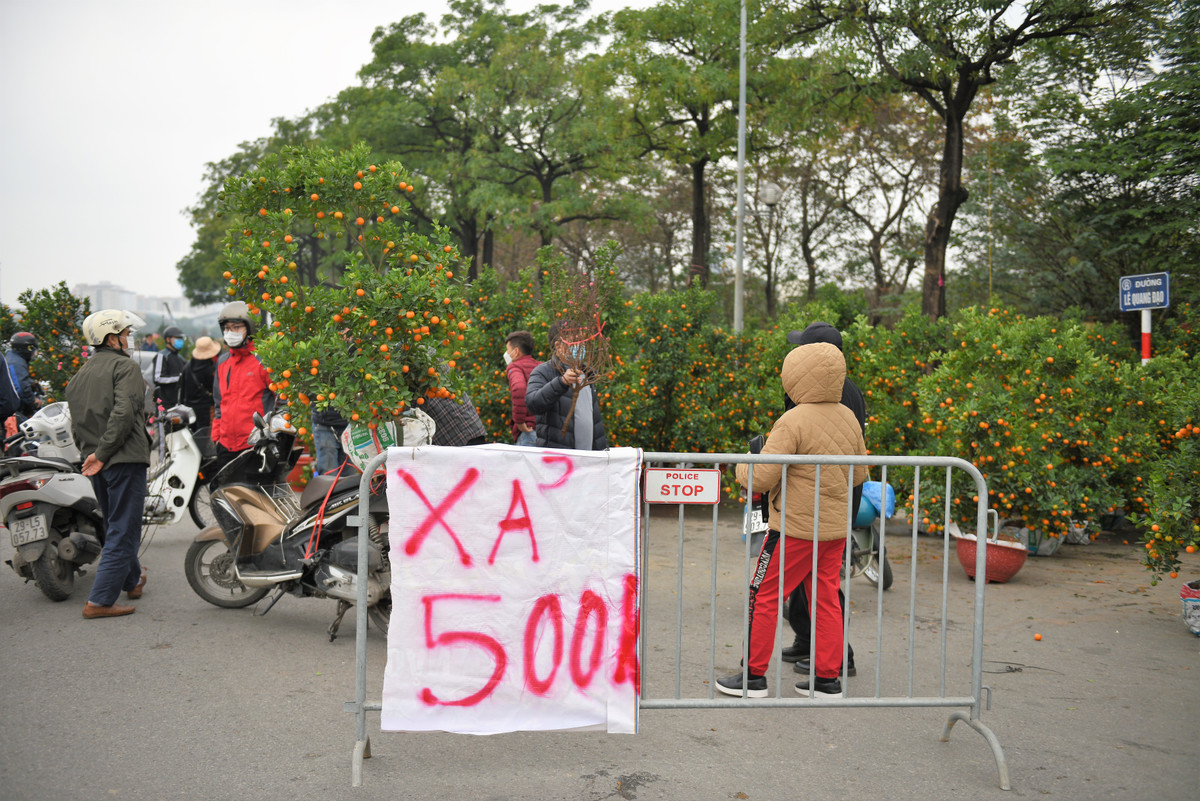 Dù dã giảm giá kịch sàn, gỡ vốn nhưng người dân đi qua chỉ dừng lại vì tò mò giá cây giảm thê thảm mà không mua hàng.