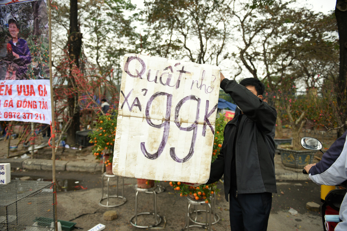 Còn chị Lan (Thạch Thất - Hà Nội) tâm sự, do ảnh hưởng của dịch COVID-19 nên người dân không mặn mà nhiều với thú chơi cây cảnh ngày Tết. “Tôi treo biển hạ giá cách đây 2 hôm, nhờ đó lượng khách tới hỏi mua cũng khác hẳn. Giá phụ thuộc vào kích cỡ tùy từng cây nhưng phải bán hạ giá hết mới thu hút được khách“, chị Lan nói.