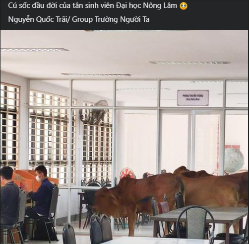 Hình ảnh cú sốc đầu đời của tân sinh viên Đại học Nông Lâm mới được chia sẻ trên các fanpage.