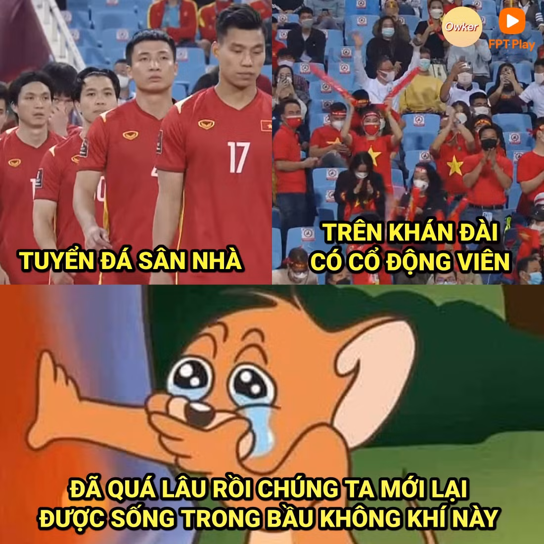 Gần 2 năm, các CĐV Việt Nam mới lại được sống đến sân cổ vũ cho thầy trò HLV Park Hang Seo. Ảnh: Fandom Owker