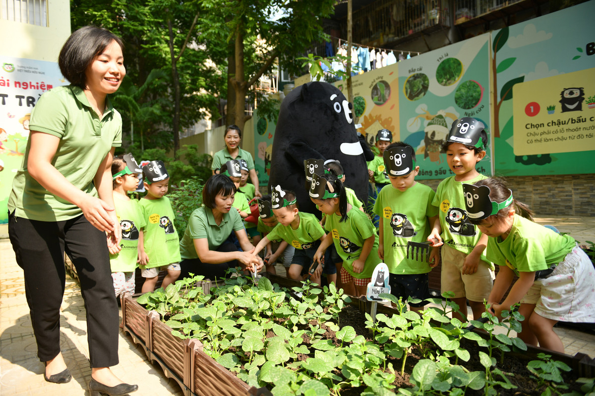 Trường Mầm non Việt Triều hữu nghị và Tổ chức Động vật Châu Á cũng đã xây dựng một vườn trải nghiệm mang tên gấu mặt trăng giới thiệu với các bé về các cây thảo dược thay thế mật gấu và một số cây thân thuộc trong gia đình.