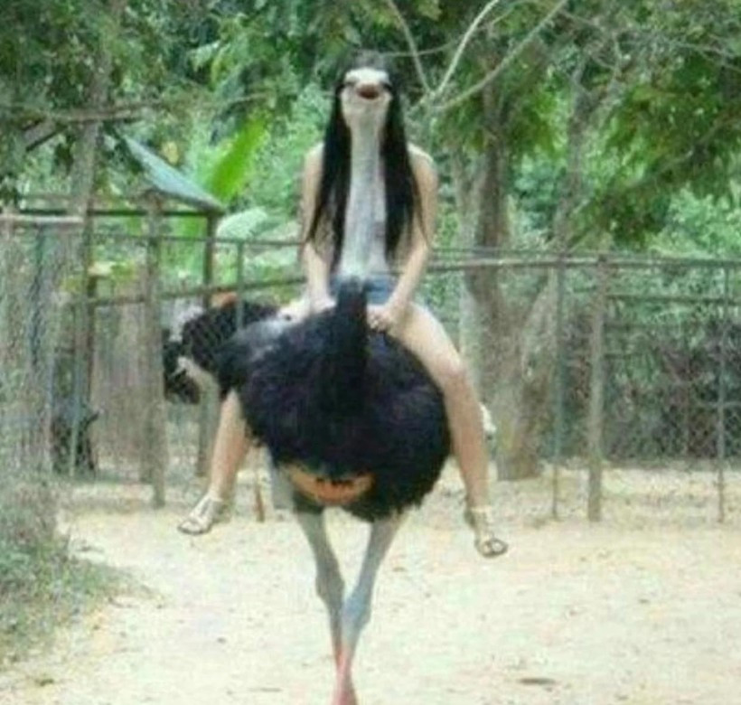 Đôi chỉ cũng chỉ mong các chàng chụp cho một tấm ảnh trông mình... bình thường nhất có thể mà cũng không được.