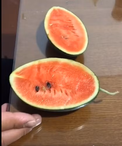 Một số dân mạng để lại bình luận: "Nhà mình cũng tự trồng cây dưa như thế này nhưng ra đầy trái luôn, trái nào cũng bé tí và ăn ngọt thanh!" hay "Hay nhỉ, để sau này mình siêng nhả hạt như chủ thớt xem dưa nhà mình có lên quả không!".