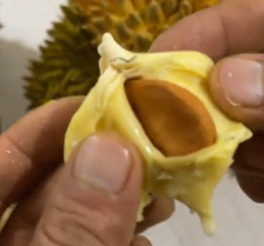 Thế nhưng sau khi quả sầu riêng được mở, kết quả bên trong lại khiến nhiều người bất ngờ.