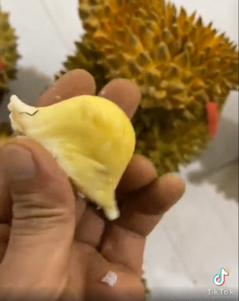 Tuy nhiên điều đặc biệt là người này lại bổ một quả sầu siêu nhỏ, chưa bằng một nắm tay.