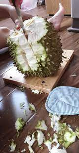 Clip bổ sầu riêng ngay sau khi đăng tải lên mạng đã khiến nhiều người bất ngờ vì không tin rằng trên quả sầu bé như thế lại có thể có múi.