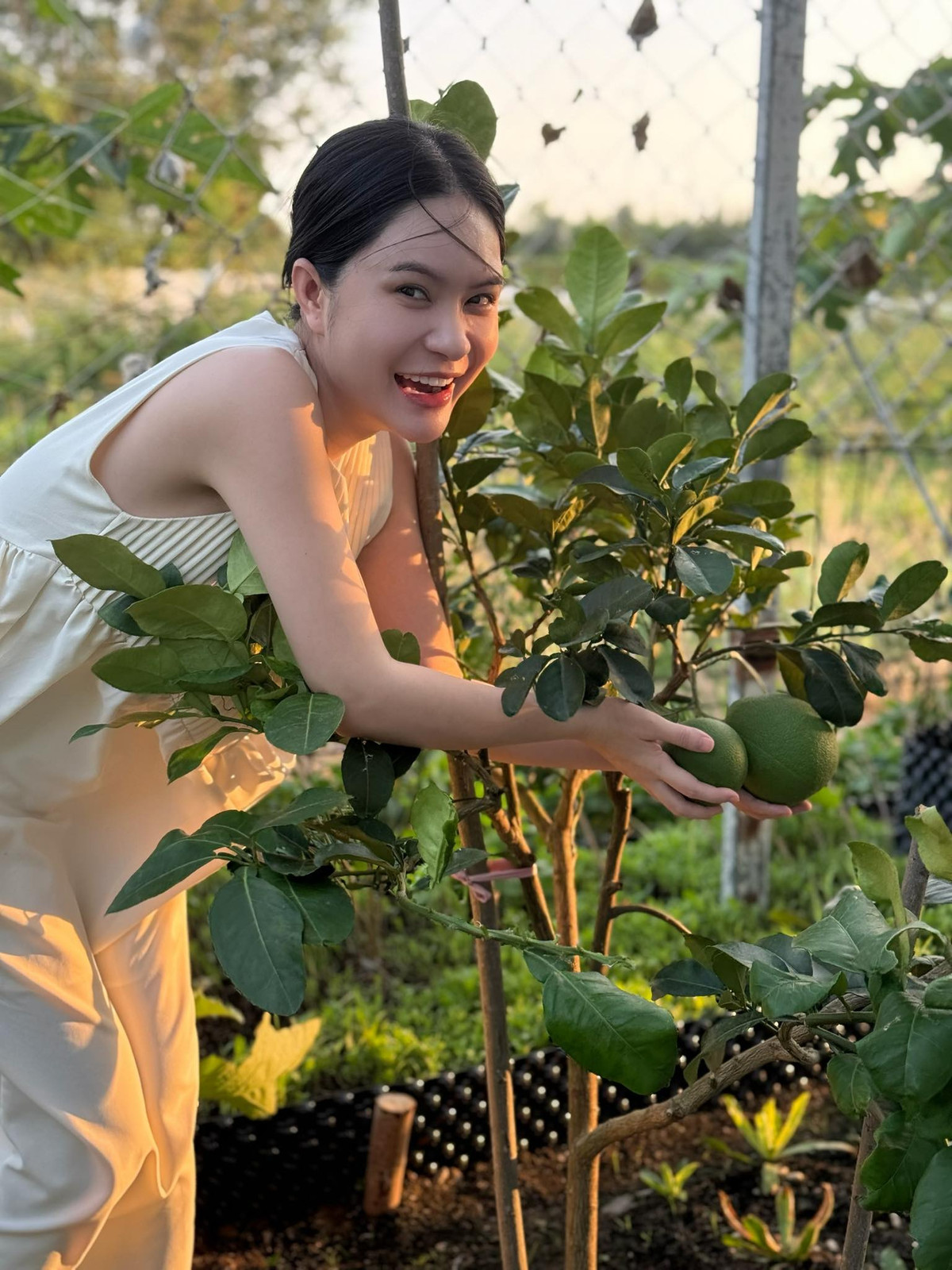 Nhiều người cho rằng, cách quảng cáo của Đoàn Di Băng khá giống motif với kẹo rau củ KERA của Quang Linh Vlogs và Hằng Du Mục. Thậm chí, cô còn bị cho là quảng cáo “lố” quá mức khi nói: “1 viên tương đương 5kg rau củ quả”.